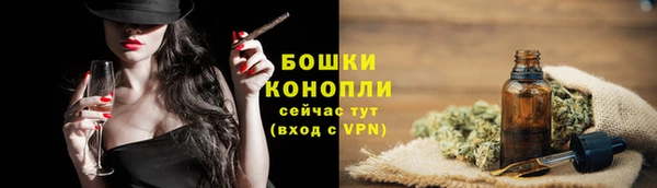крисы Баксан