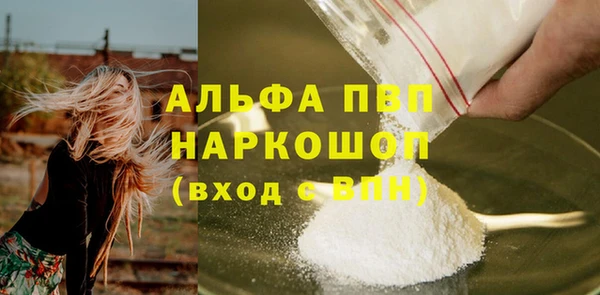 крисы Баксан